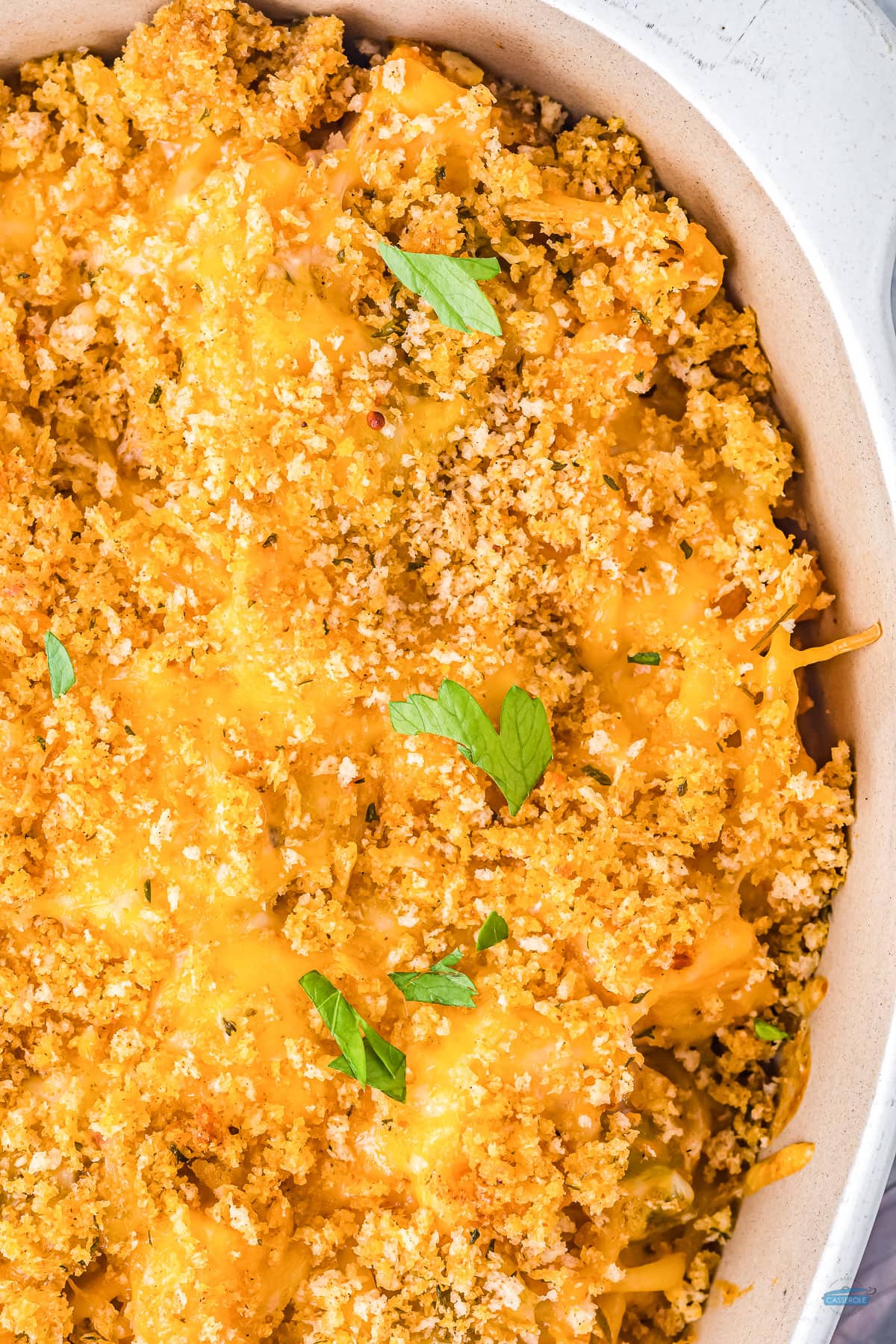 garnishing chicken tetrazzini with chopped Italian parsley