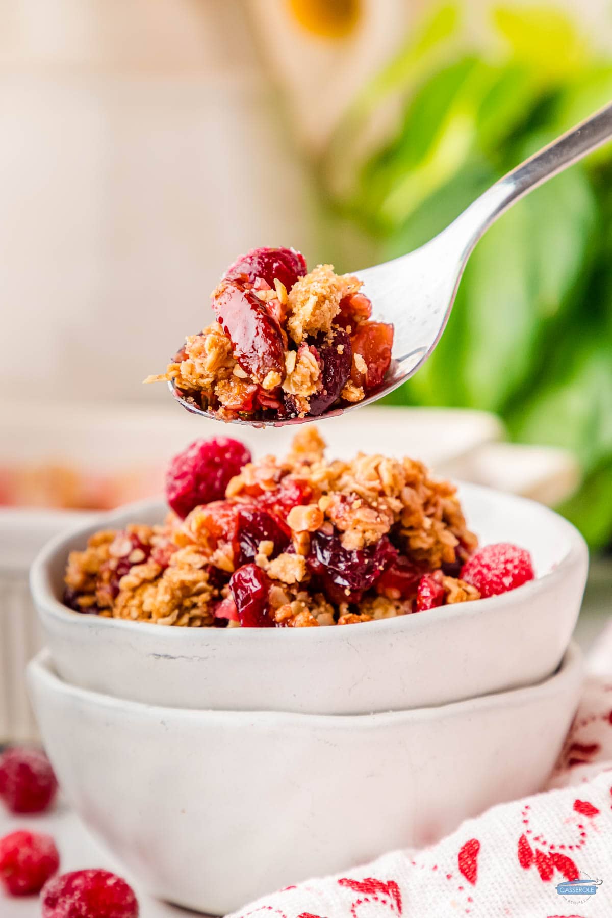 bowl of apple cranberry casserole with a spoon