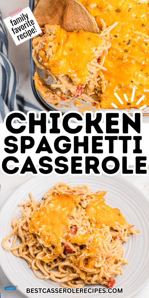 Easy Chicken Spaghetti - Best Casserole Recipes