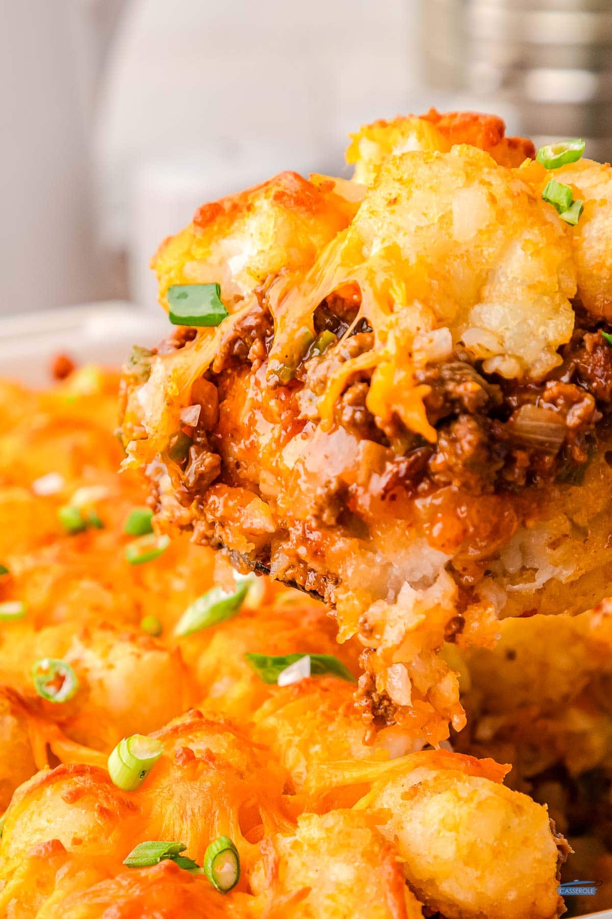 This is the ultimate comfort food for the whole family!