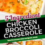 5 ingredient chicken broccoli casserole pinterest pin